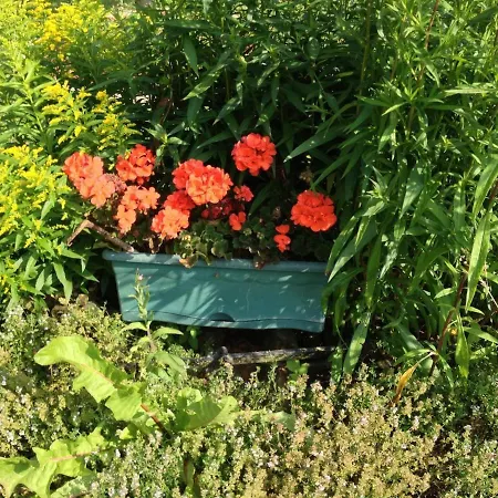Unwind In Countryside Near Amiens Paris 100m *